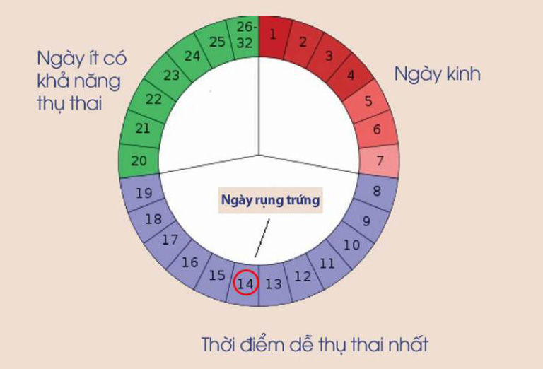 Quan hệ lần đầu trùng ngày rụng trứng