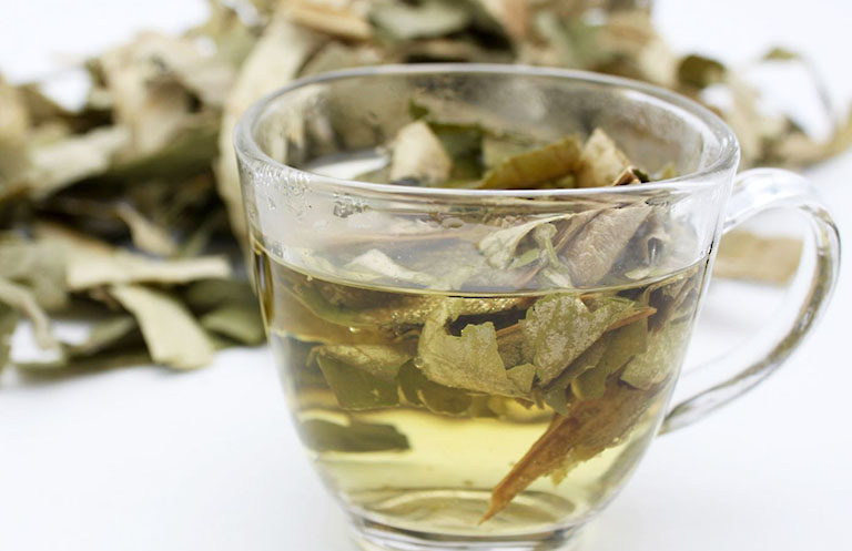 Bài thuốc từ cà độc dược