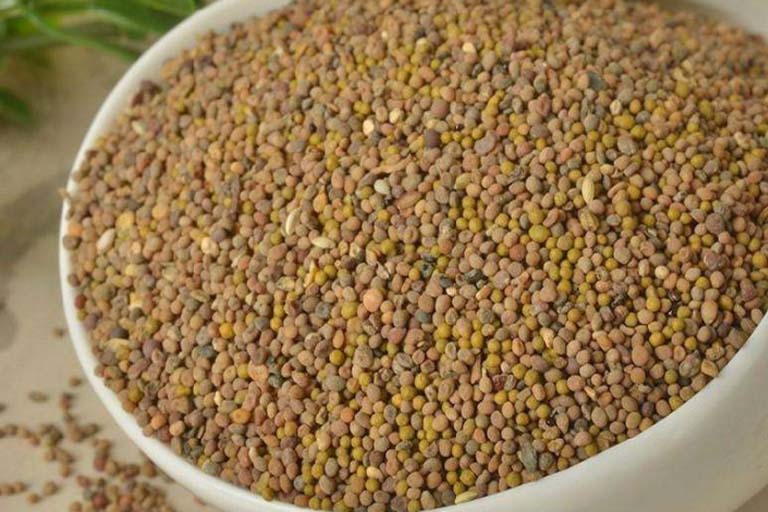 Hạt dây tơ hồng vàng