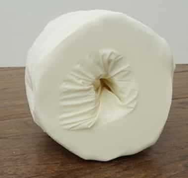 Âm đạo giả từ cuộn giấy vệ sinh