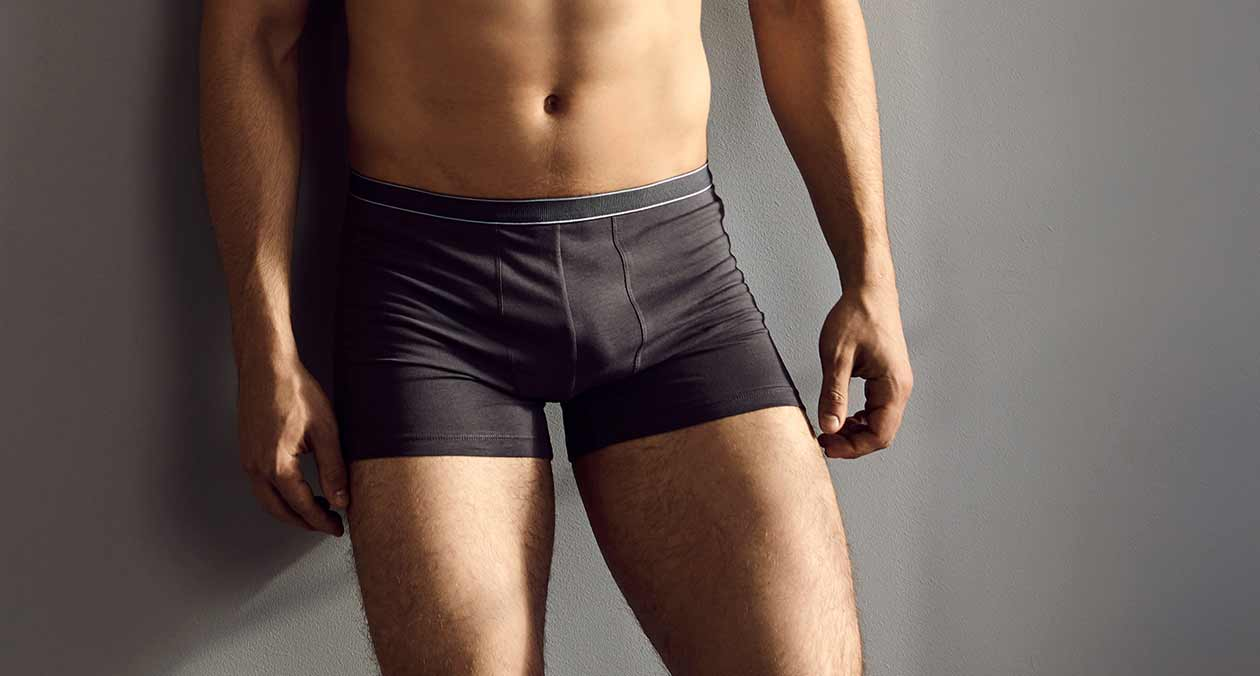 Quá trình phát triển dương vật