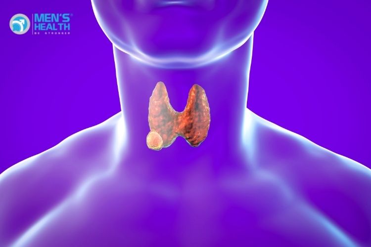 Oral Sex Là Gì? Tác Hại Ra Sao? Có Lây Bệnh Xã Hội Không?