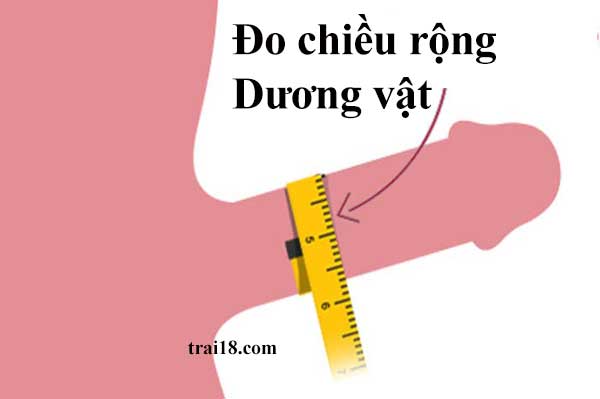 Đo kích thước dương vật