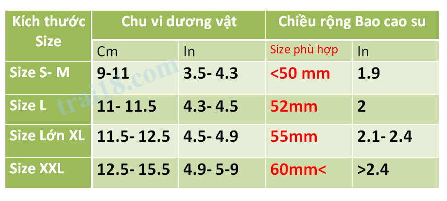 Bảng size bao cao su chuẩn