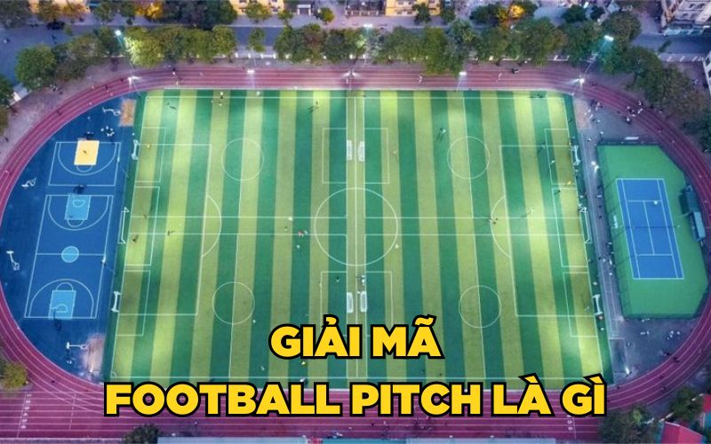 Giải mã thuật ngữ Football pitch là gì trong bóng đá chuyên nghiệp