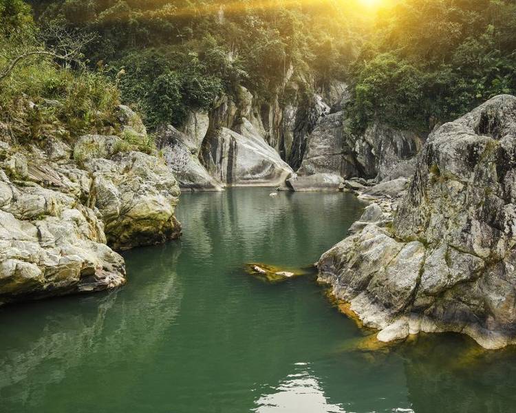 Vườn quốc gia Hoàng Liên.