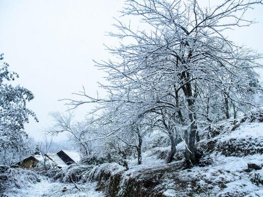 Tuyết rơi ở Sapa