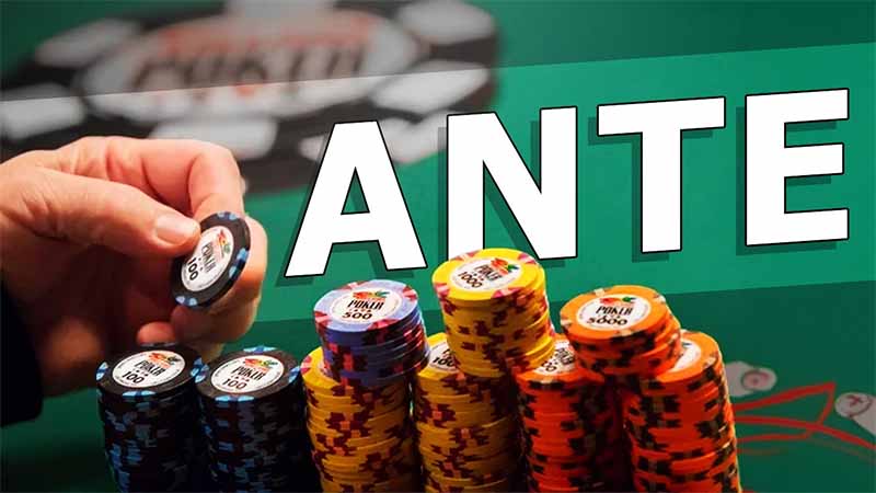 Giải thích chi tiết thuật ngữ Ante Poker là gì cho người mới bắt đầu