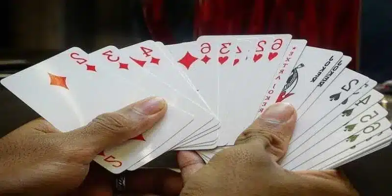 Hướng Dẫn Cách Dụ Heo Đỏ Để Chặt Đơn Giản Cho Người Mới