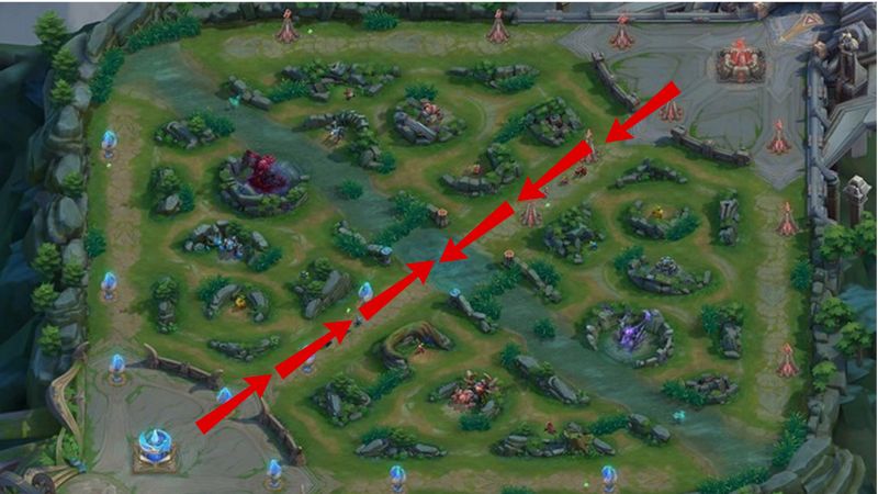 Vai trò của người đi Mid